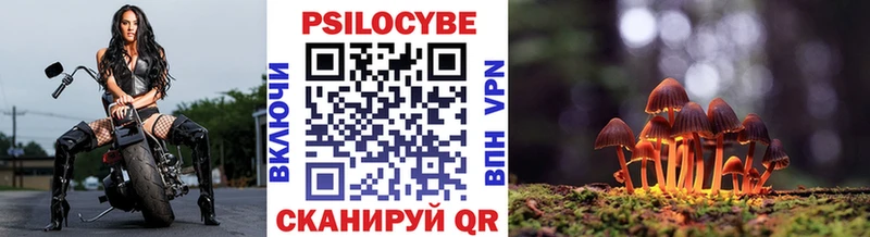 Псилоцибиновые грибы Psilocybine cubensis  закладки  Калининец 