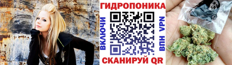 купить Калининец Марихуана MAZAR